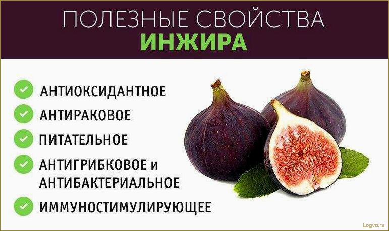 Польза инжира для здоровья и организма