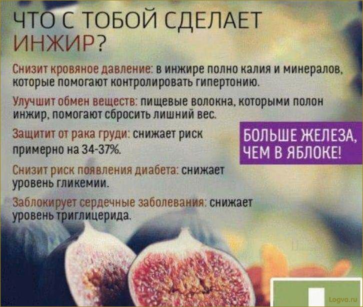 Польза инжира для здоровья и организма