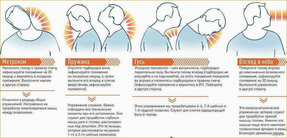 Гимнастика для шеи: упражнения для укрепления и расслабления мышц