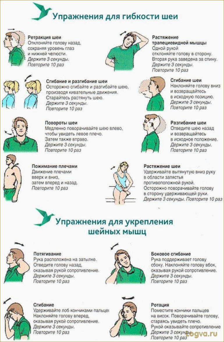 Гимнастика для шеи: упражнения для укрепления и расслабления мышц