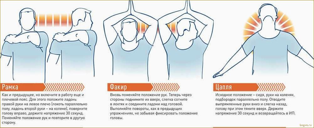 Гимнастика для шеи: упражнения для укрепления и расслабления мышц