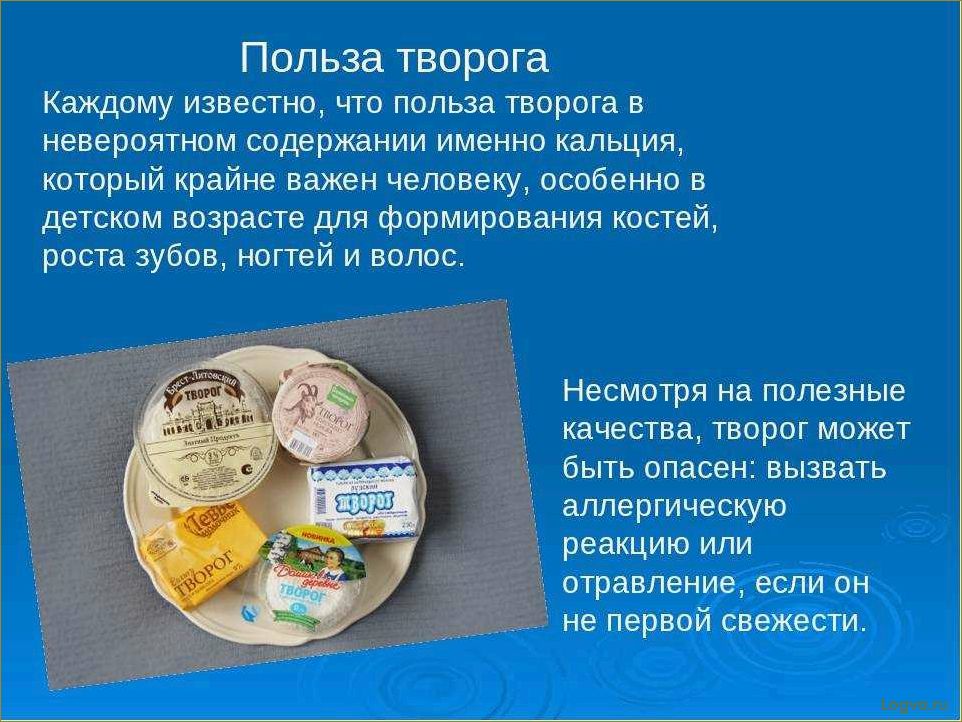 Полезные свойства творога