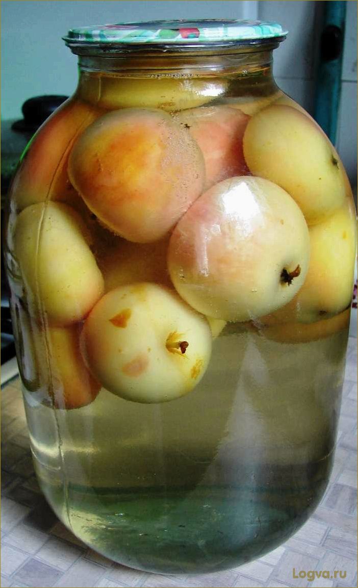 Рецепт компота из яблок