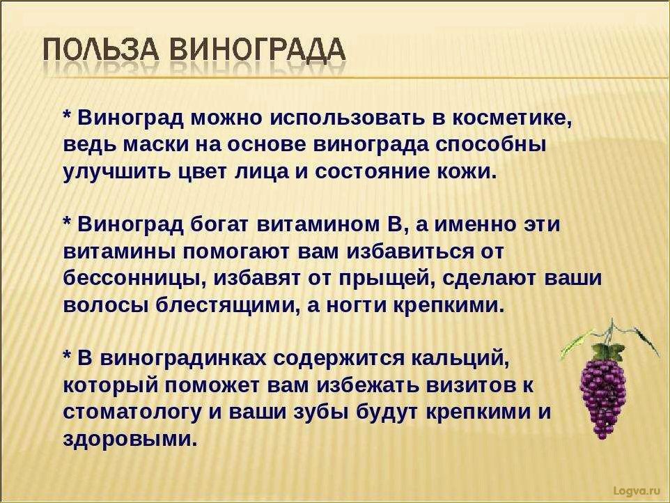 Виноград и диета: польза винограда для организма