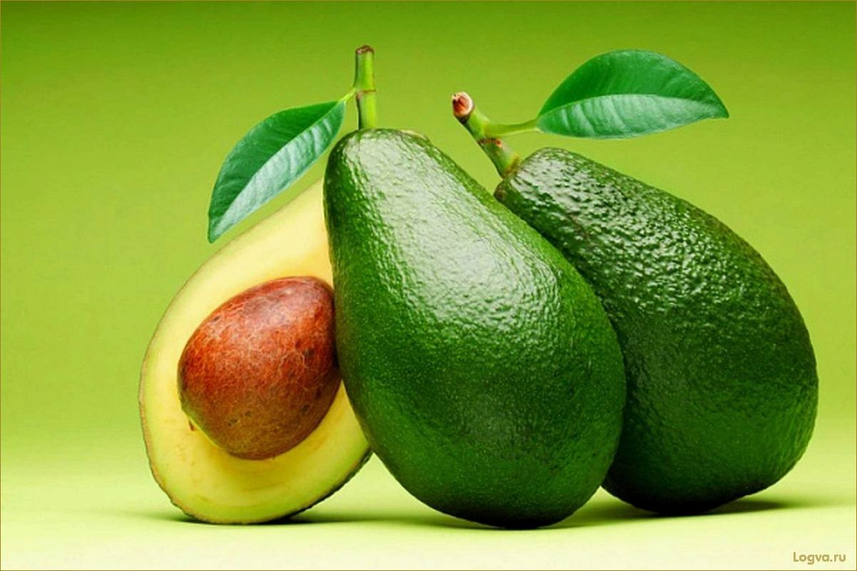 Авокадо на вашем столе: полезные свойства и рецепты