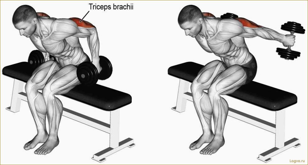 Как накачать трицепс и получить красивые руки