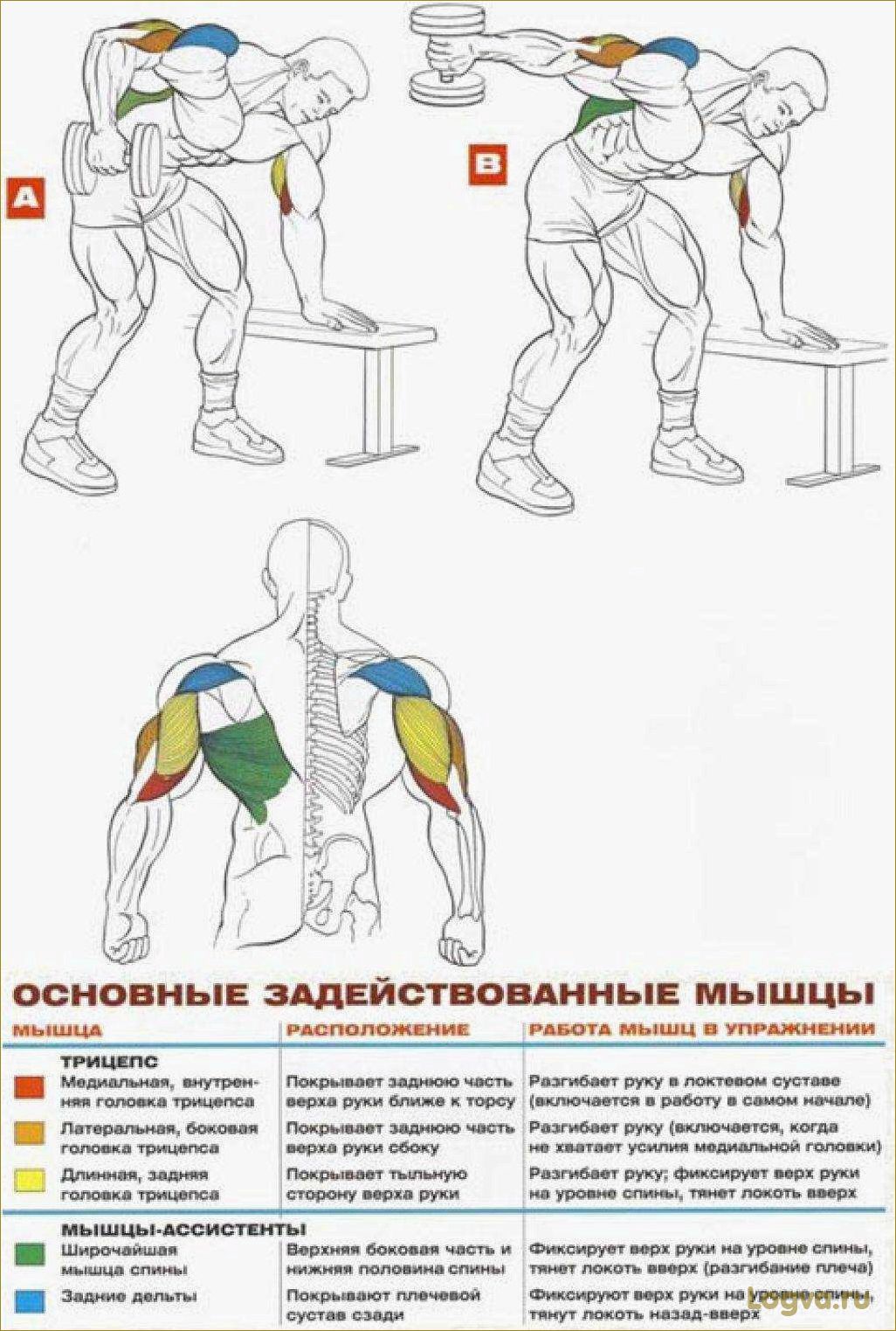 Как накачать трицепс и получить красивые руки