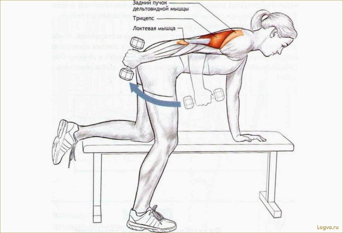 Как накачать трицепс и получить красивые руки
