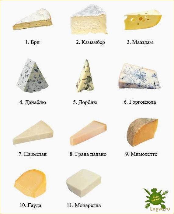 Виды сыра: от мягких до твердых
