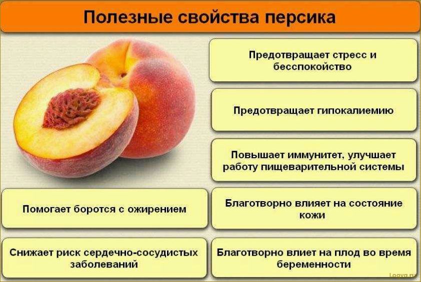 Персики — полезный фрукт лета!