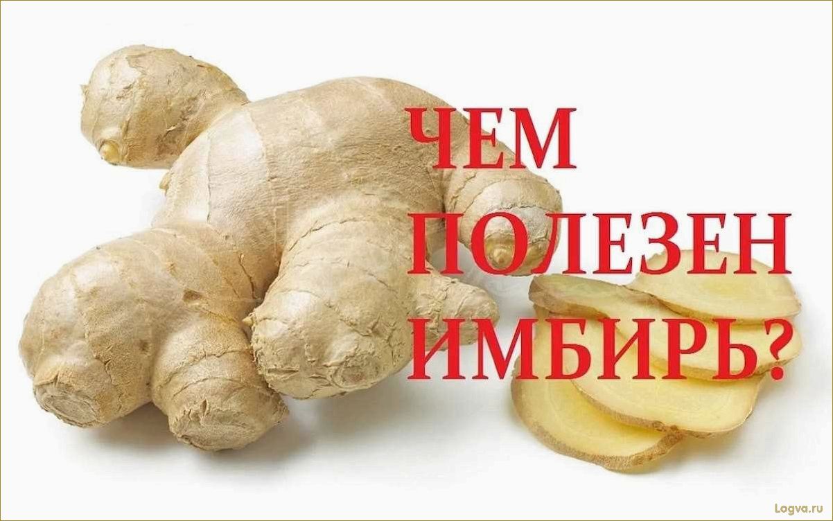 Полезные свойства имбиря, имбирь для похудения