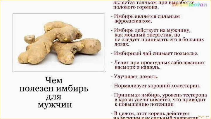 Полезные свойства имбиря, имбирь для похудения