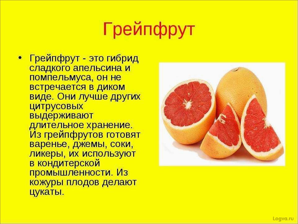Грейпфрут: полезные свойства. Польза и вред, калорийность