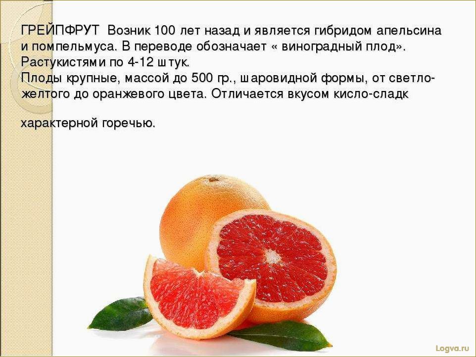 Грейпфрут: полезные свойства. Польза и вред, калорийность