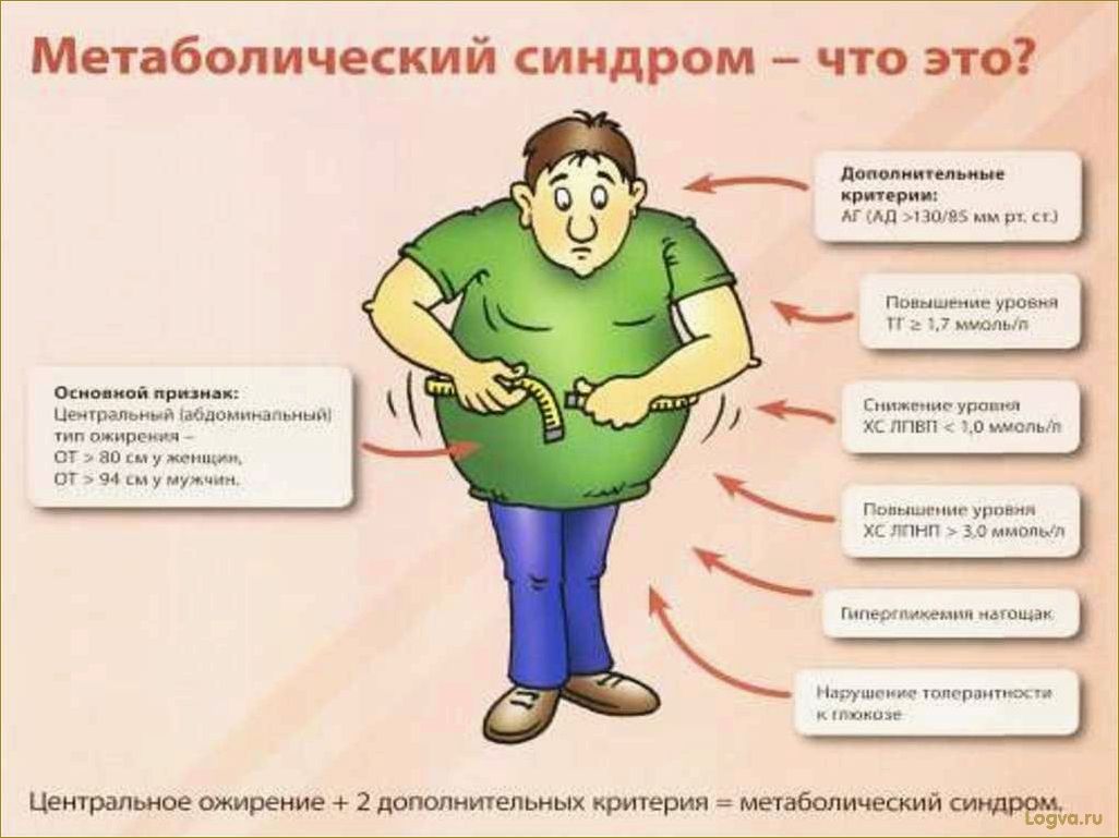 Метаболический синдром. От переедания — к сердечным заболеваниям