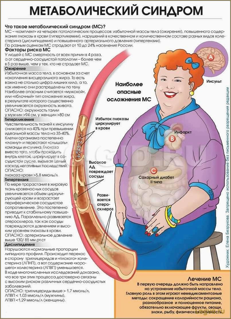 Метаболический синдром. От переедания — к сердечным заболеваниям