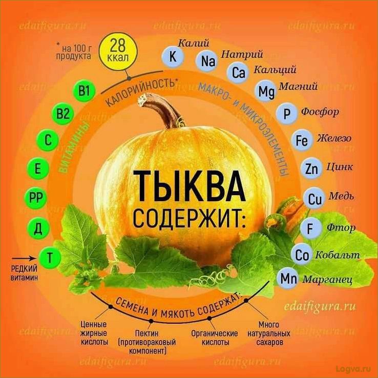 Полезные свойства тыквы