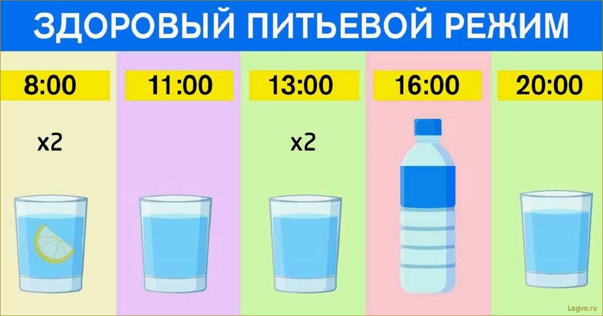 Питьевой режим во время тренировки: пить воду или нет?