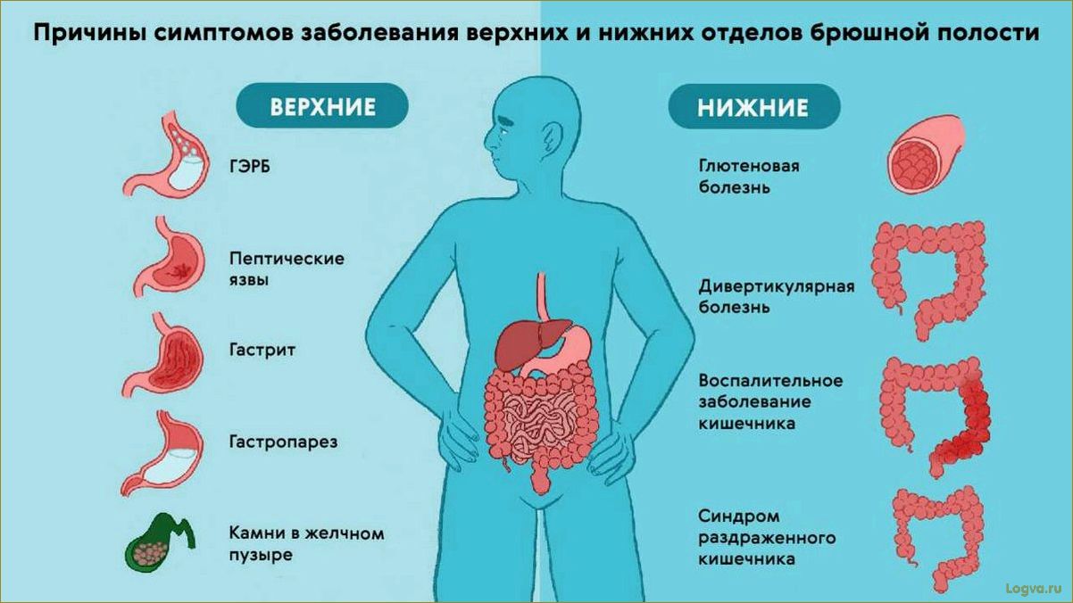 Причины появления дискомфорта в желудке и кишечнике