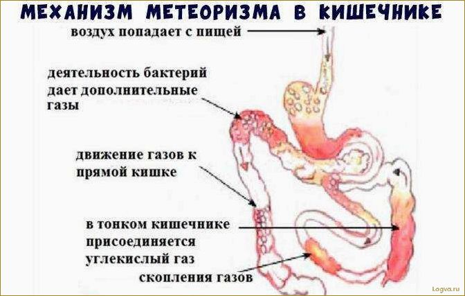 Причины появления дискомфорта в желудке и кишечнике