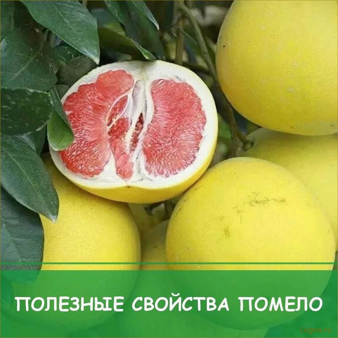 Помело: полезная экзотика