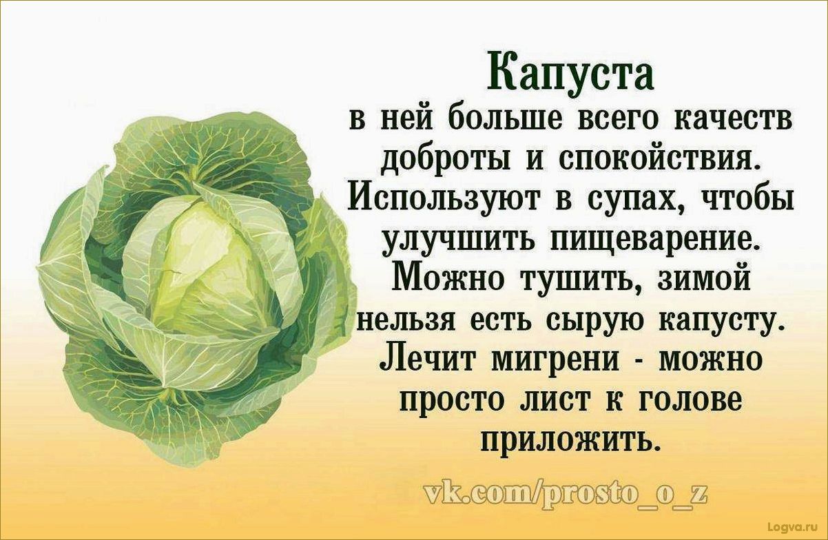 Капуста — полезный продукт для здоровья и красоты