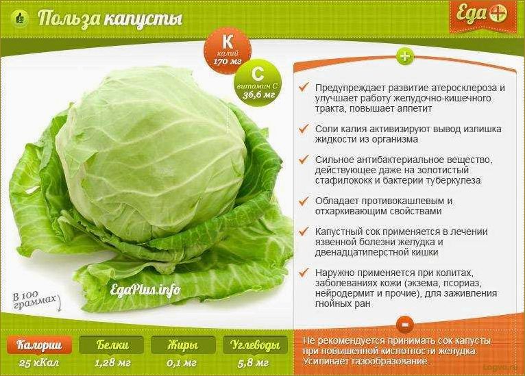 Капуста — полезный продукт для здоровья и красоты