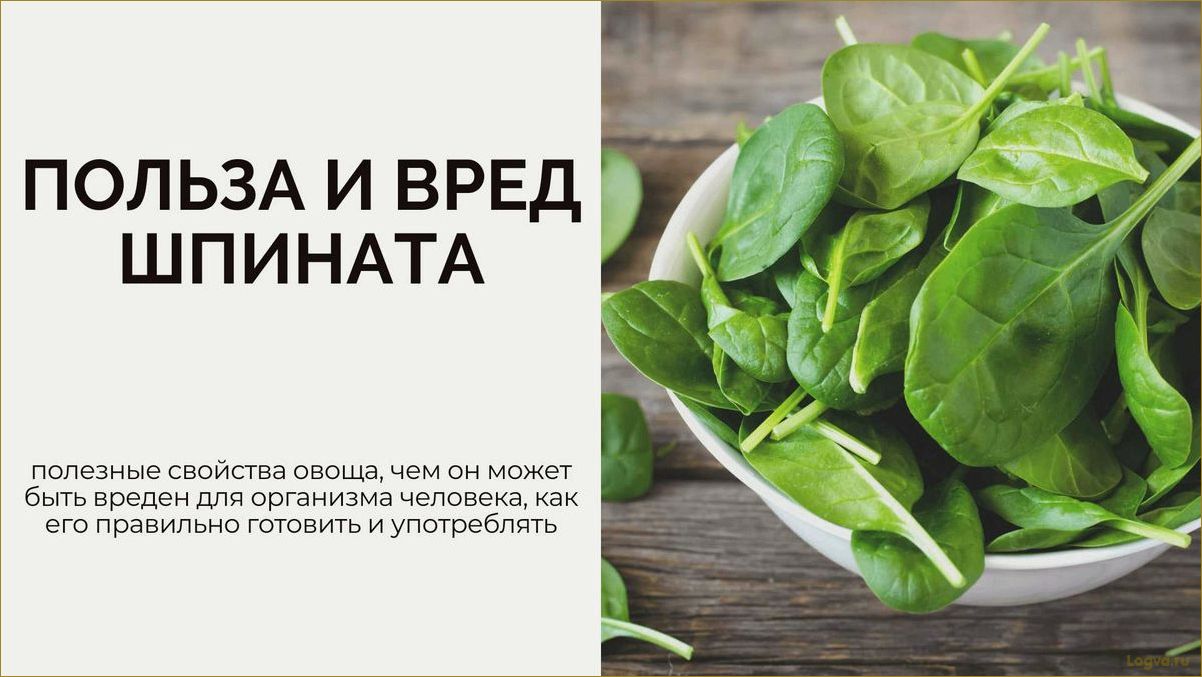 Польза шпината для здоровья и организма