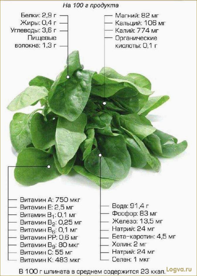 Польза шпината для здоровья и организма