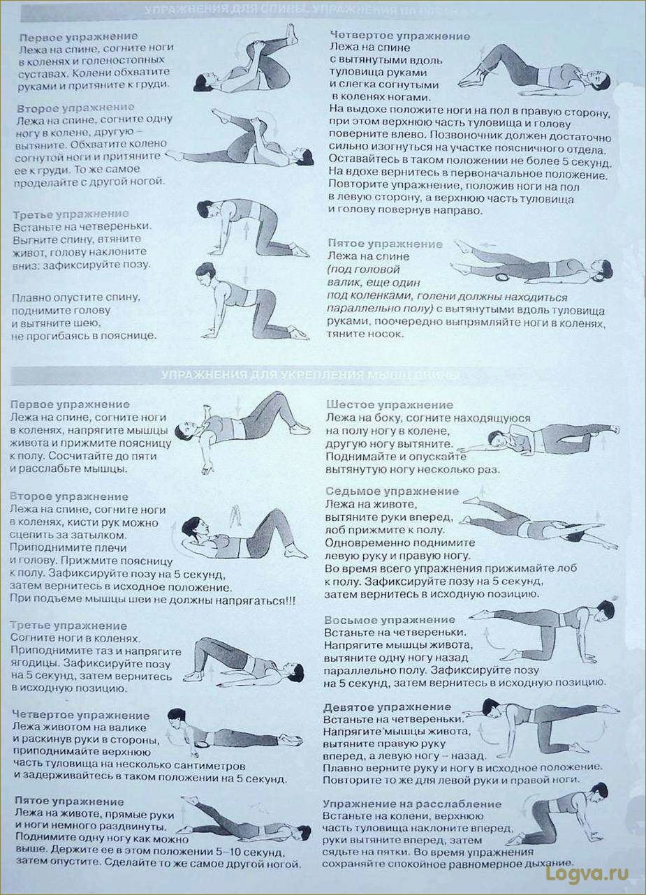 Зарядка для спины: упражнения и рекомендации