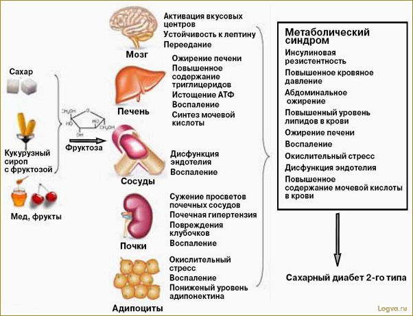 Истинное влияние фруктозы на организм человека