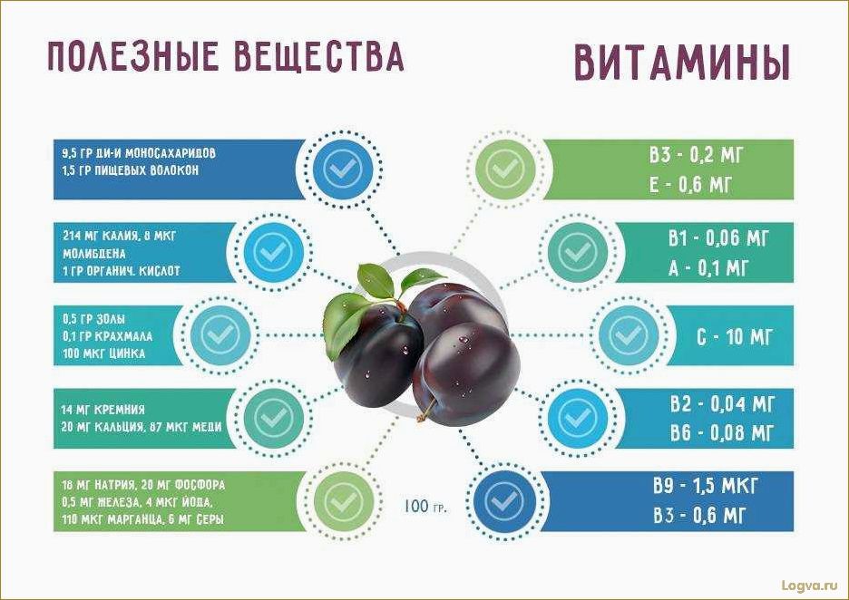 Слива: полезные свойства и калорийность. Польза сливы