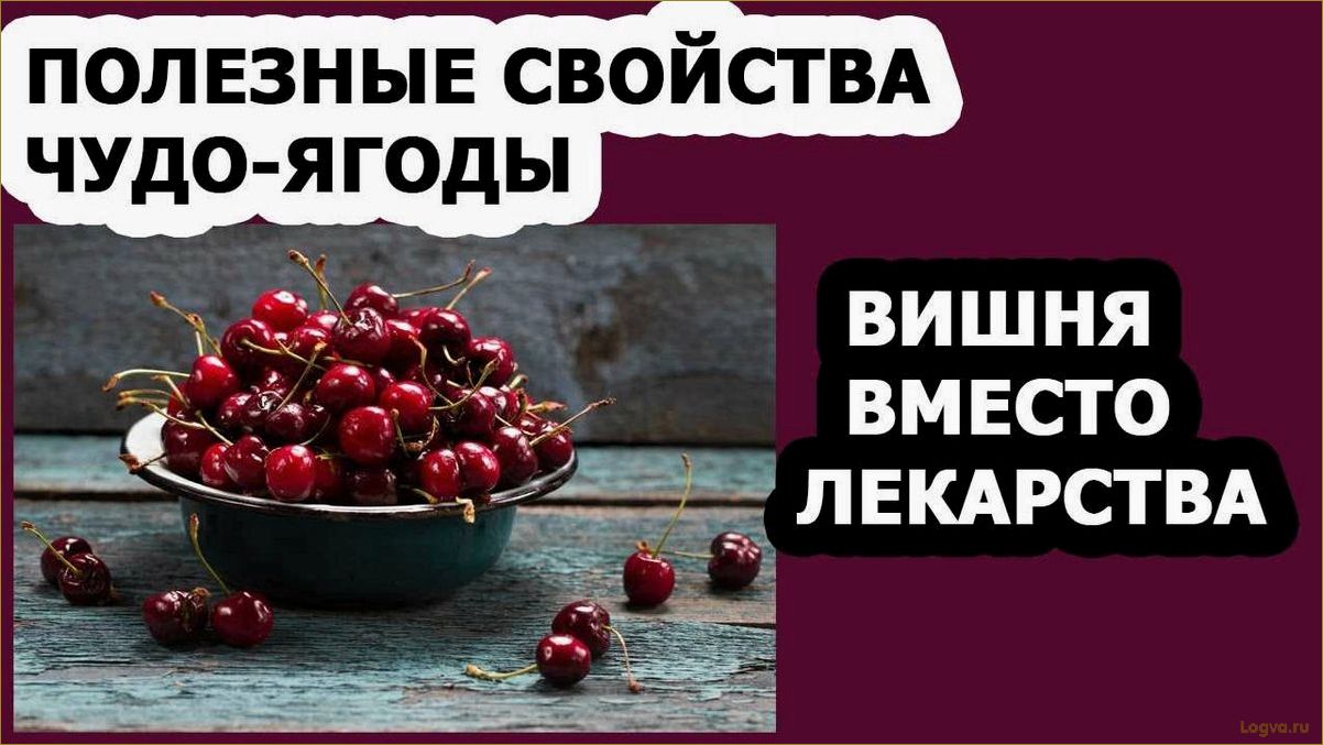 Полезные свойства вишни