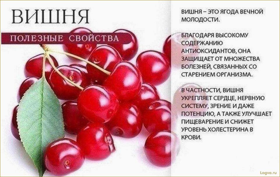 Полезные свойства вишни