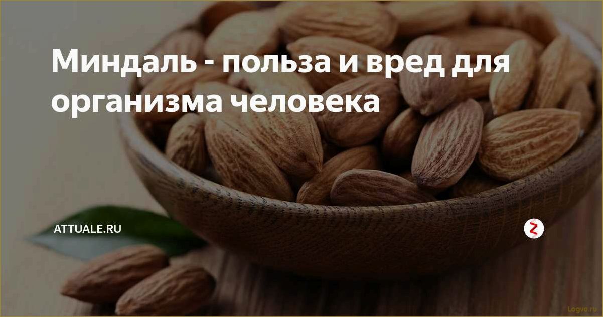 Полезные свойства миндаля