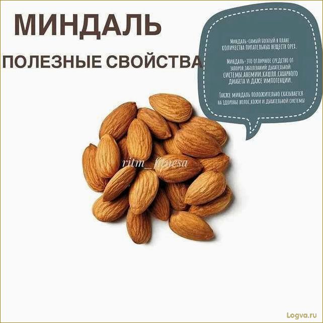 Полезные свойства миндаля