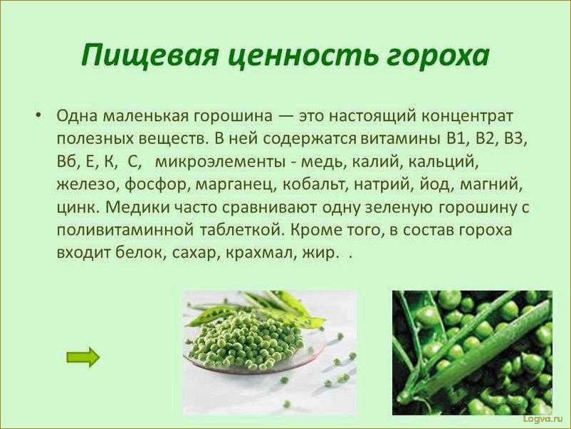 Полезные свойства гороха: отличный источник белка и витаминов