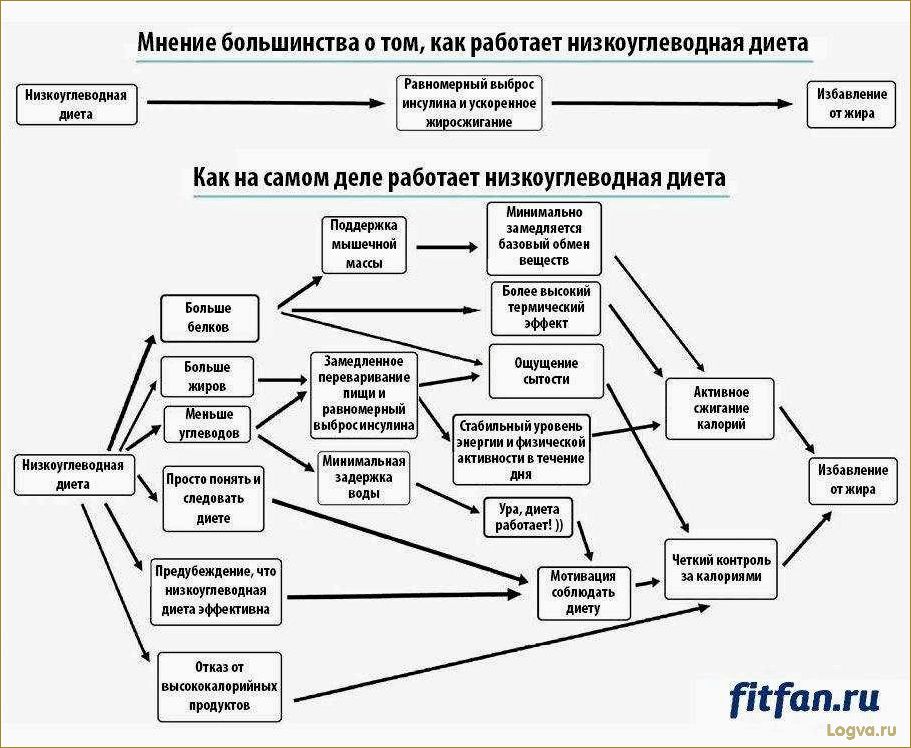 (низкоуглеводная, диета, основные, принципы, польза) Низкоуглеводная диета: основные принципы и польза для организма