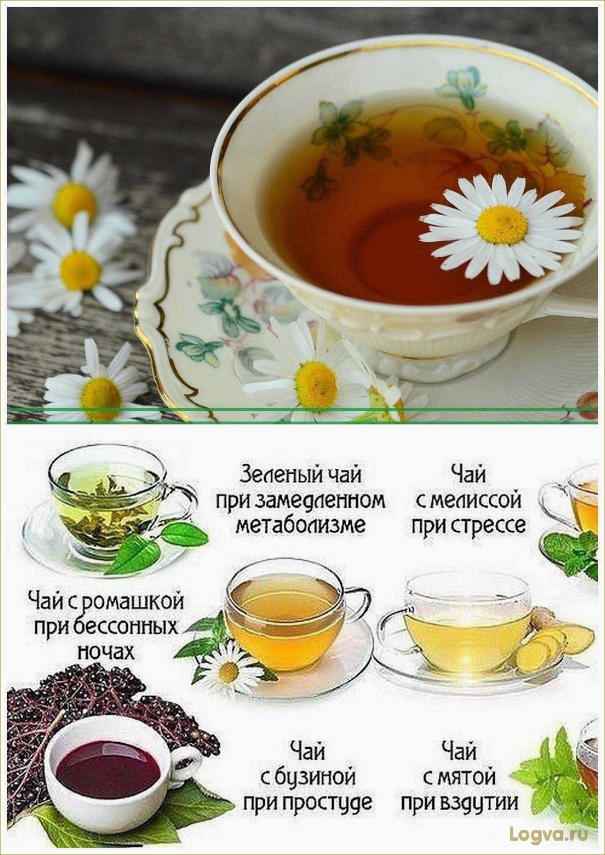 (полезные, травяные) Полезные травяные чаи