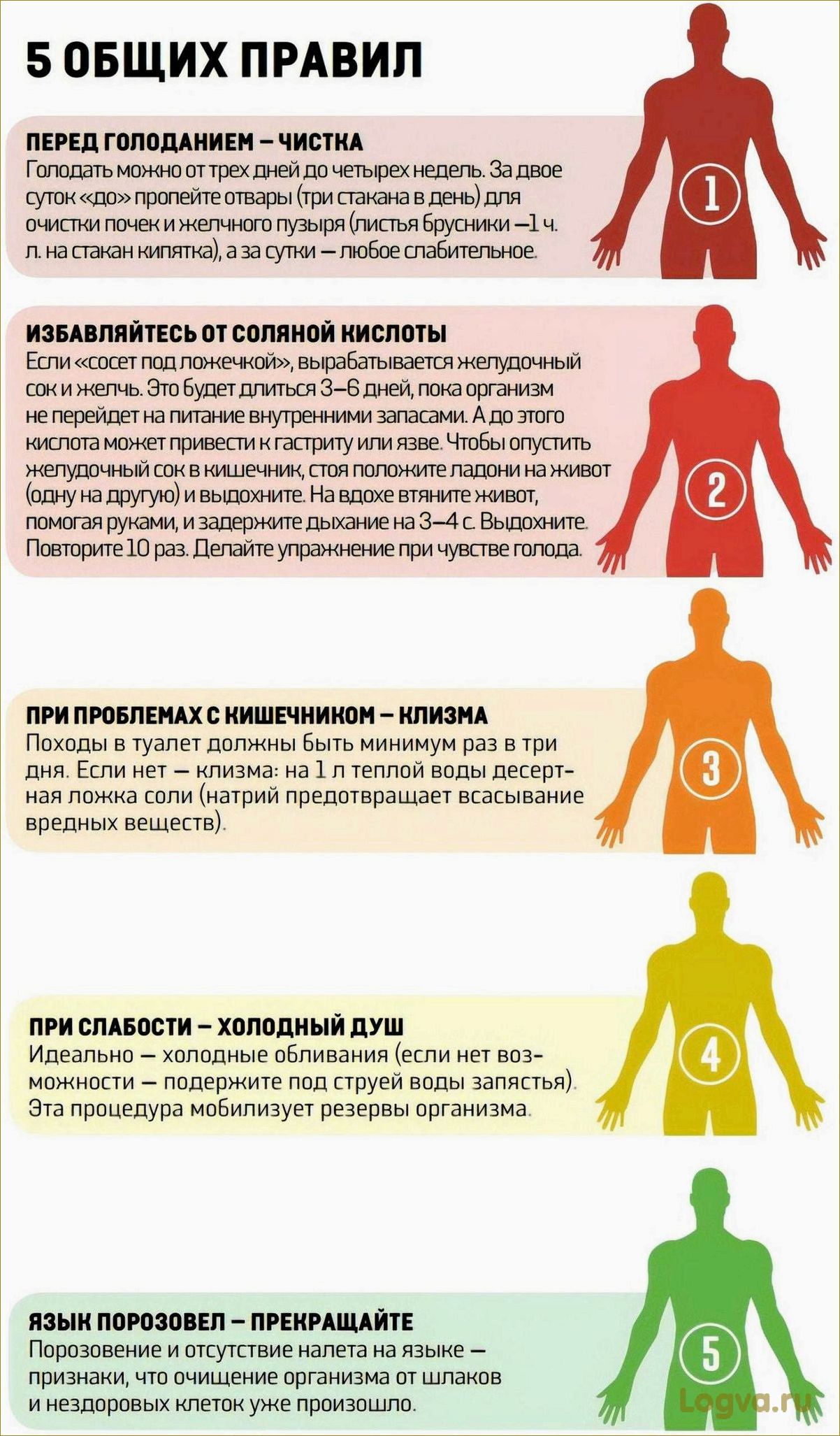(ошибки, избегать, время) Ошибки, которые нужно избегать во время голодания
