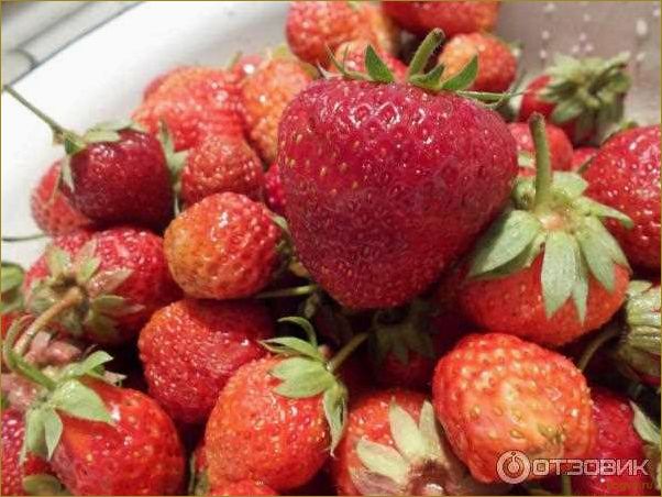 (клубничная, диета, преимущества, меню, рецепты) Клубничная диета: преимущества, меню и рецепты