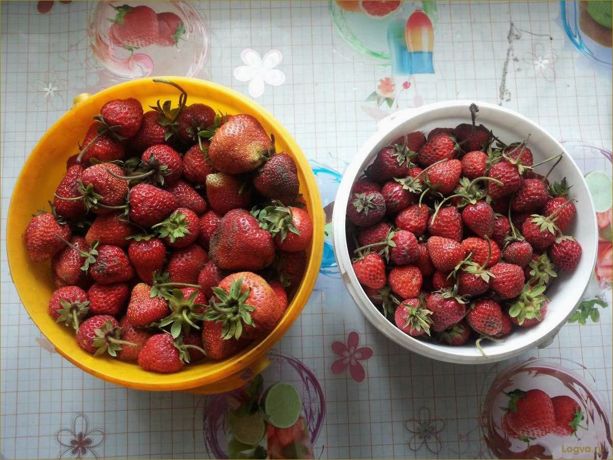 (клубничная, диета, преимущества, меню, рецепты) Клубничная диета: преимущества, меню и рецепты