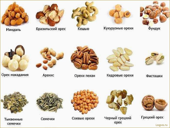 (ореховая, диета, здоровое, похудение, пользой) Ореховая диета: здоровое похудение с пользой для организма