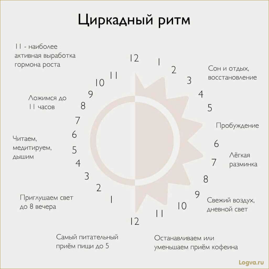 (нельзя, часов) Почему нельзя есть после 18 часов. Похудение и биоритмы