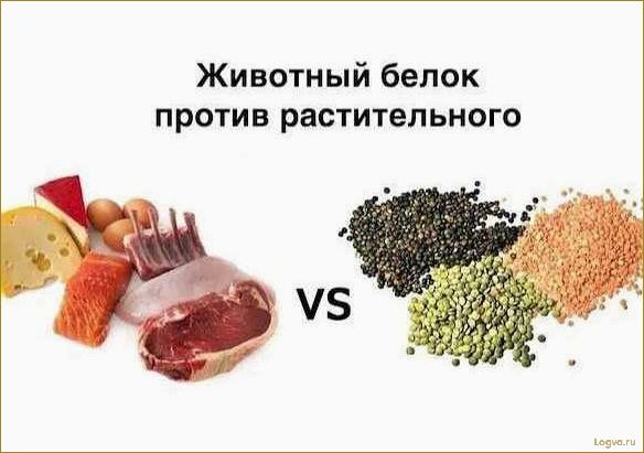 (растительные, животные, белки, особенности, значение) Растительные и животные белки: особенности и значение