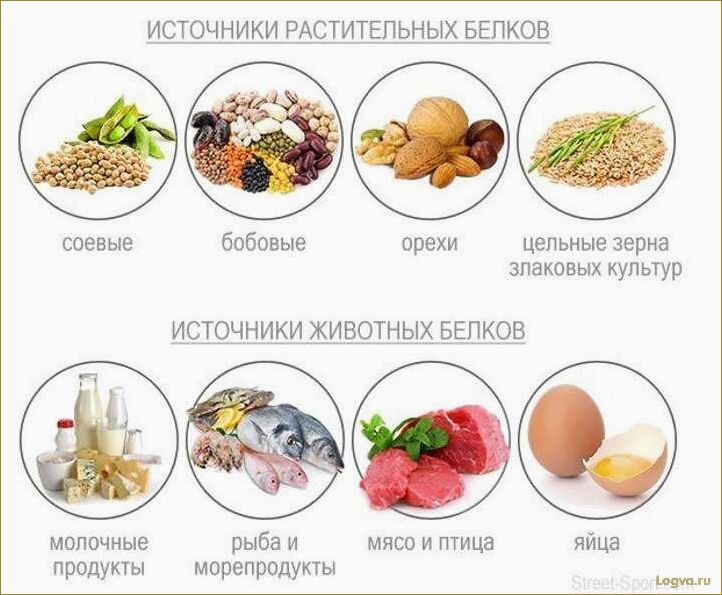 (растительные, животные, белки, особенности, значение) Растительные и животные белки: особенности и значение