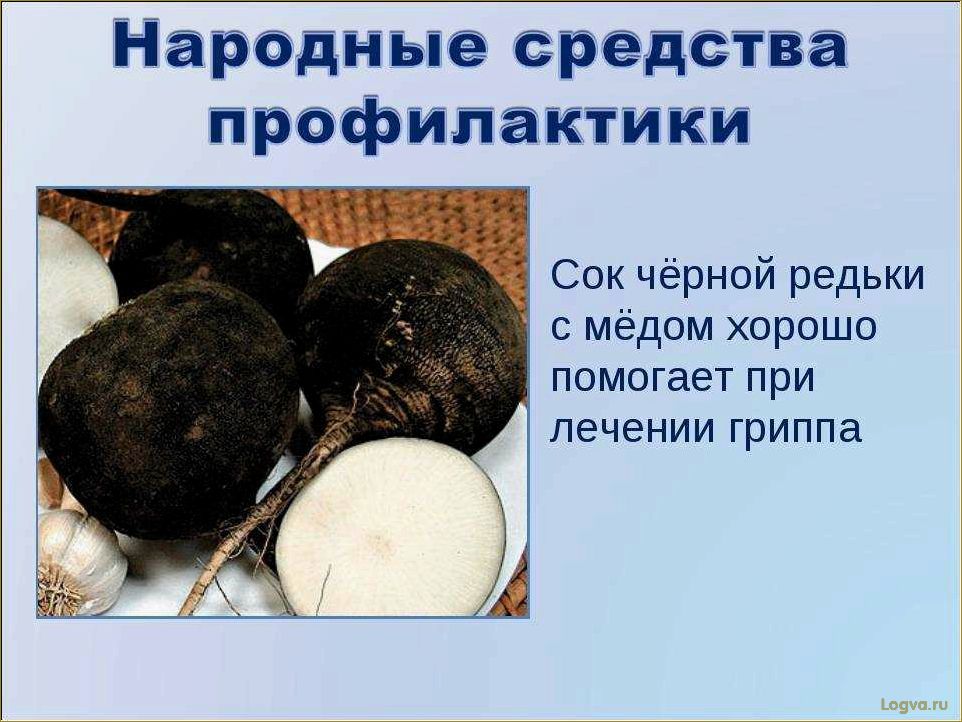 (редька, полезные, свойства, преимущества) Редька: полезные свойства и преимущества