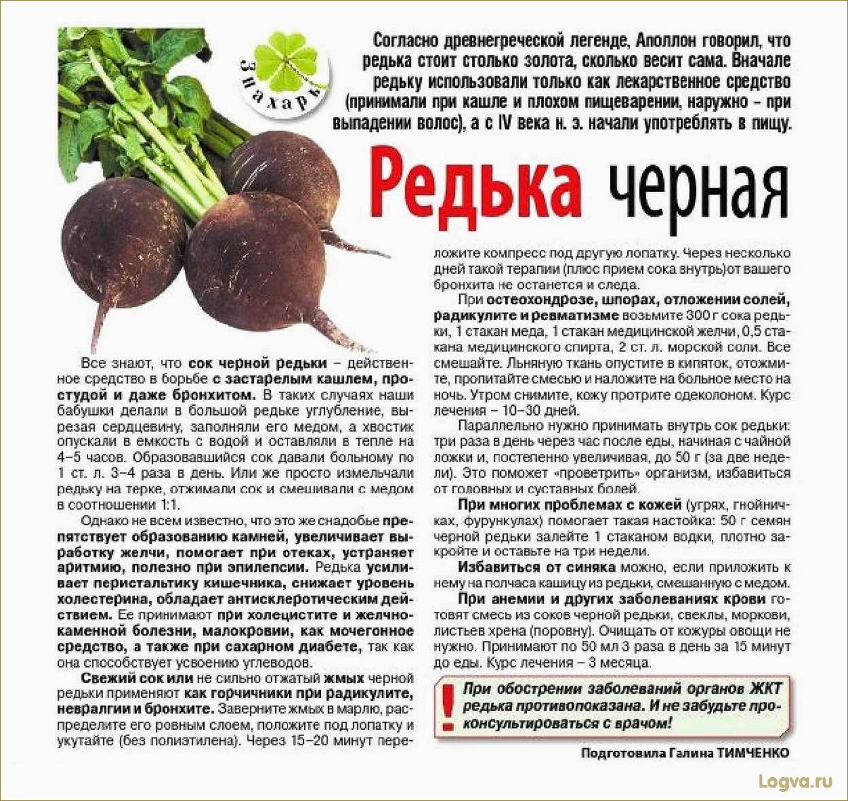(редька, полезные, свойства, преимущества) Редька: полезные свойства и преимущества
