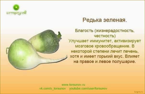 (редька, полезные, свойства, преимущества) Редька: полезные свойства и преимущества