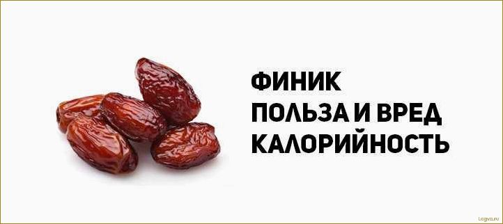 (финики, полезные, свойства, калорийность) Финики: полезные свойства и калорийность